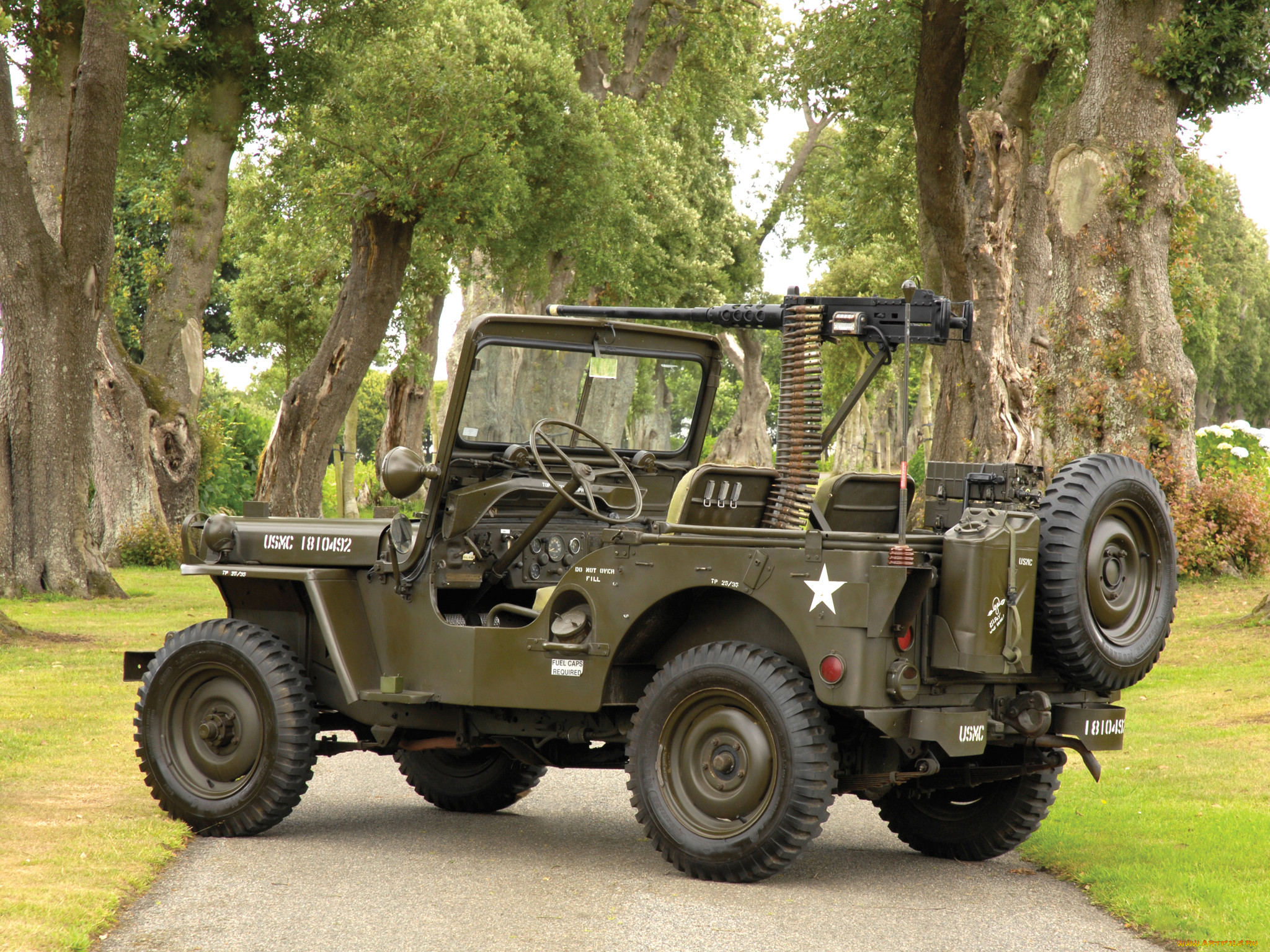 willys m38 jeep 1950, ,  , 1950, jeep, m38, willys